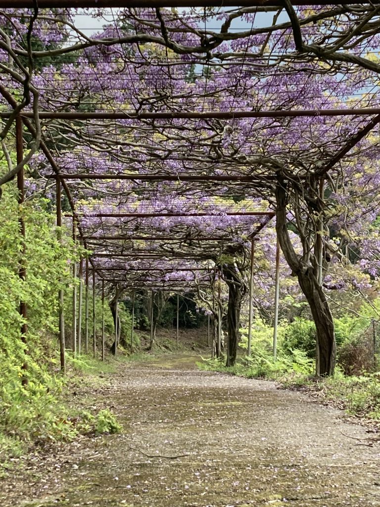 リフレッシュ エリア みやま の 里 森林 公園